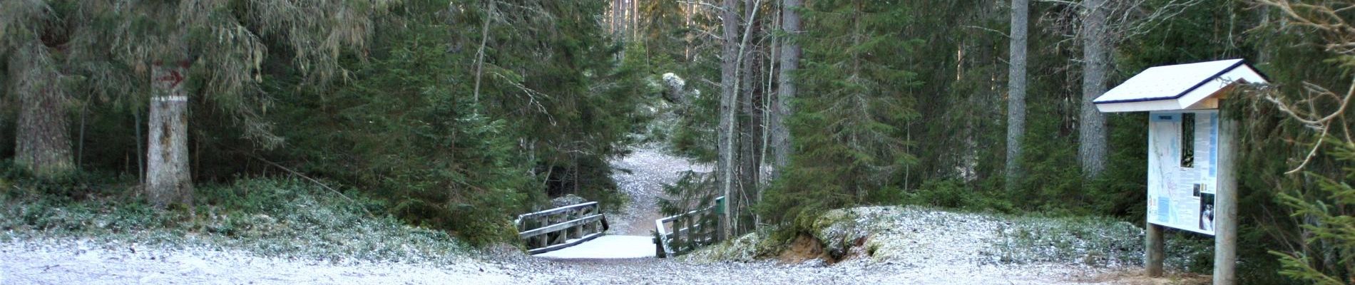 Tynnyrikosken luontopolku. 