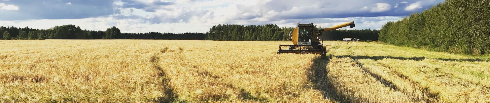 Kurkinevan pyörä/maastopyöräilyreitti. 