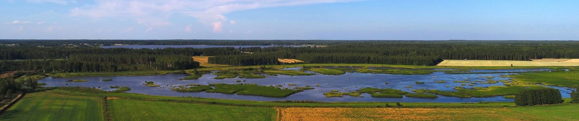 Nuijunjärven kosteikkoalue. 