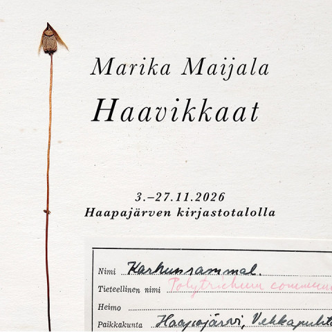 Kuvassa kuivattu karhunsammal ja luettelokortti vanhasta kasviosta