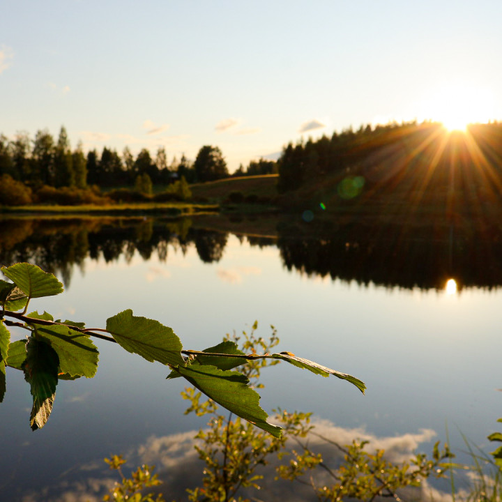 Auringonlasku.
