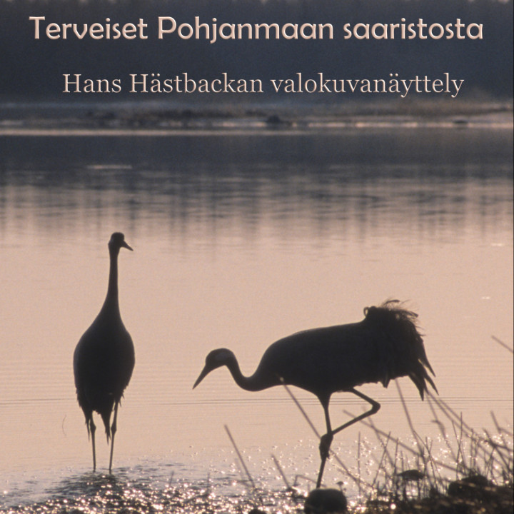 Terveiset Pohjanmaan saaristosta
