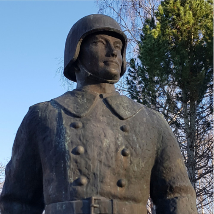 Veteraanipäivän juhla