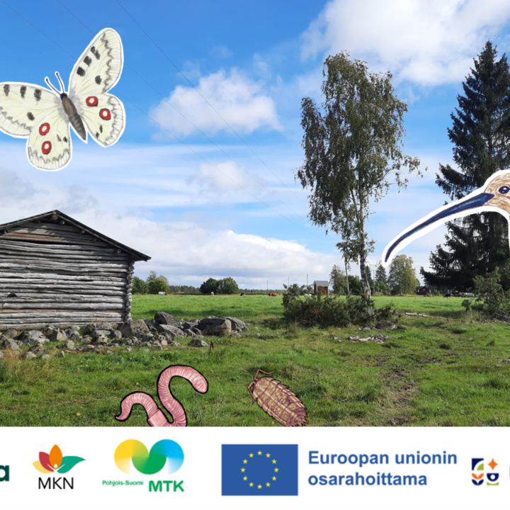 Luonnon monimuotoisuus maatilalla kuntalaiskysely