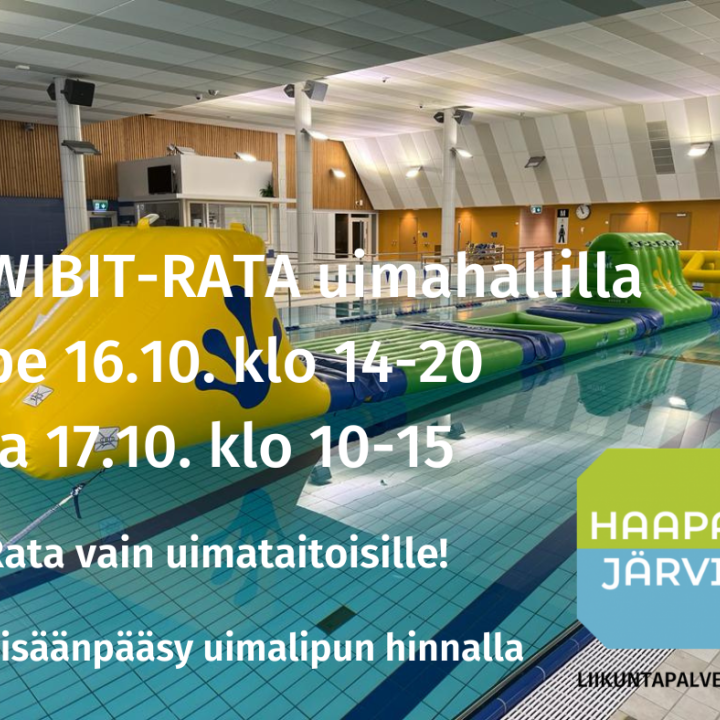 Wibit